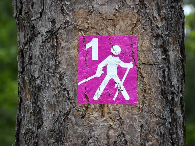 Neue "Nordic Walking" Gruppe